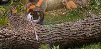 Best Lawn Maintenance Plans  in Skiato, OK